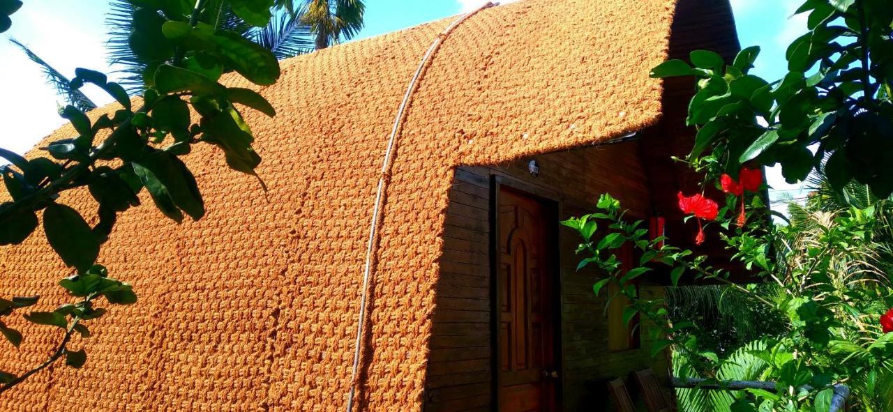 Hong Thai River Side Homestay Ben Tre Exteriör bild